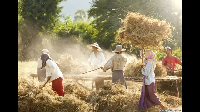 मूंगफली के बगान, बर्मा, फिलिप ली हॉर्वे