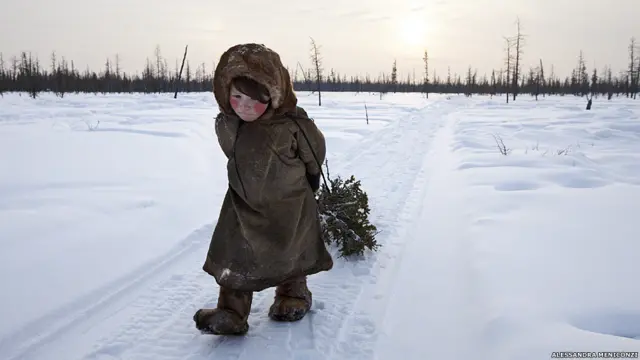 नेनेट आदिम जनजाति, अलेससांद्रा मिनिकोंजी