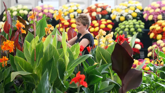 लंदन फ्लॉवर शो