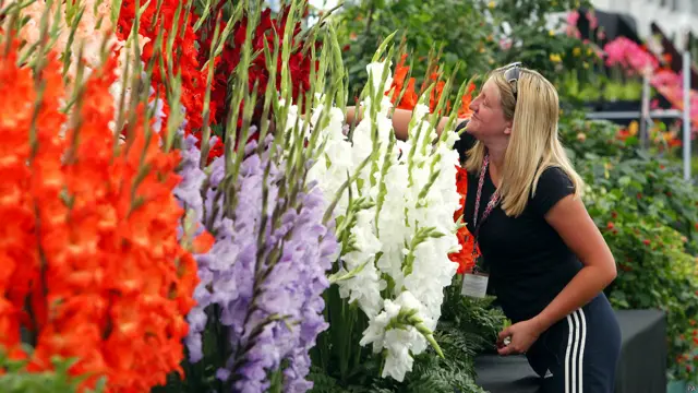 लंदन फ्लॉवर शो