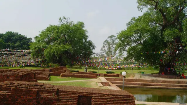 ලුම්බිනියෙන් හමුවු පැරණි ආශ්රමයක ශාක්යා පොකුණේ සහ පීපාල් ගසේ නටබුන්