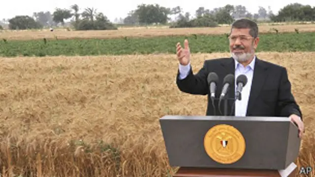 جمدت حكومة مرسي استيراد القمح منذ فبراير وحتى عزله