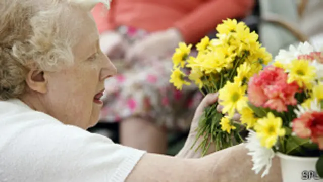 Mujer mayor arreglando plantas