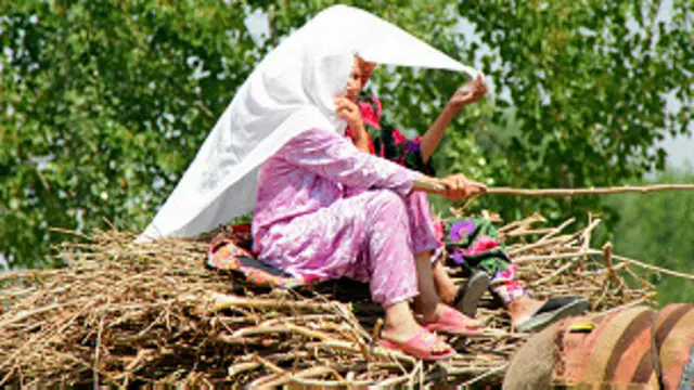 Газга бой Бухорода қишлоқ аҳли ўтин ё тезак териб, ёқишга мажбур.