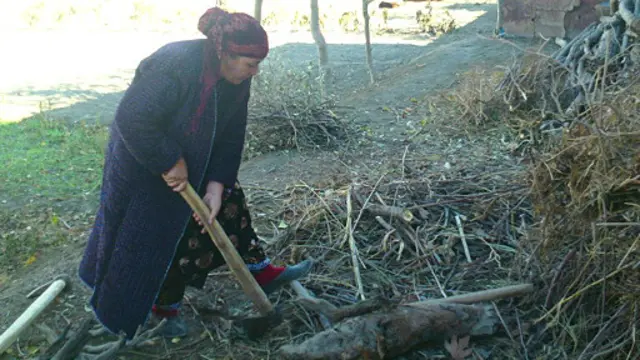 "Нима қилиш керак?"