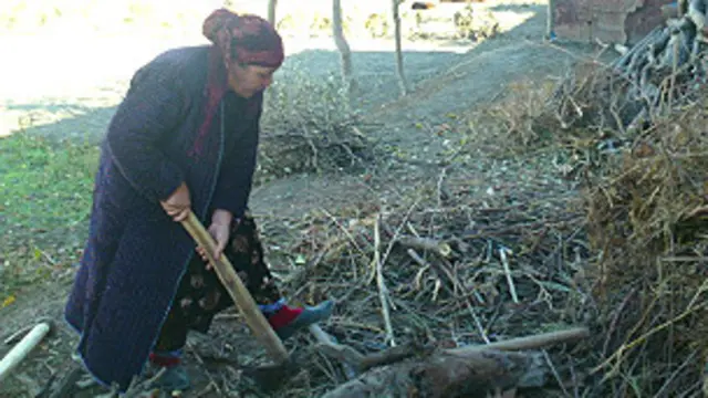 Газ бўлмаган қишлоқларда халқнинг куни ўтин ва ўчоққа қолган.