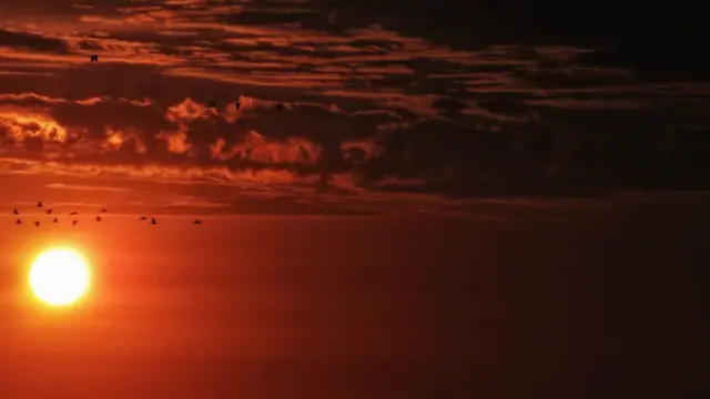 Leitores enviaram fotos para a galeria desta semana, cujo tema é Sol.