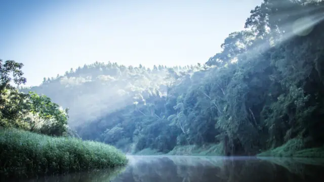 Esta imagem mostra os raios do sol perfurando a vegetação a margem do Rio Piracicaba, no interior de São Paulo. A leitora Shirlei Tatsukawa capturou a foto durante um passeio de barco.