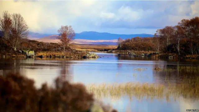 बीबीसी पाठकों की भेजी तस्वीरें