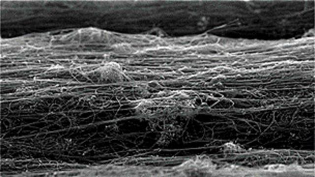 Imagen de una fibra de nanotubos de carbono tomada con un microscopio de electrones
