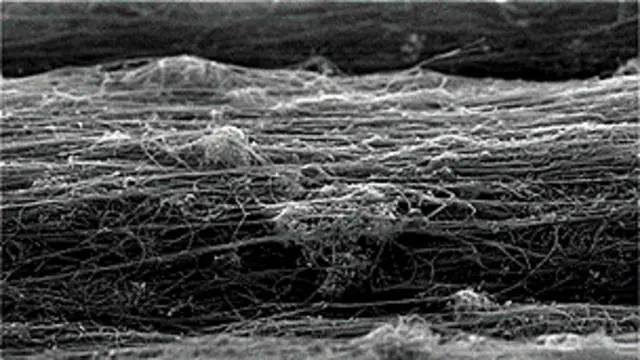 Imagen de una fibra de nanotubos de carbono tomada con un microscopio de electrones