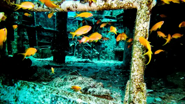 Фото: Алекс