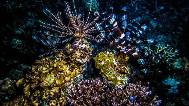 Фото: Александр