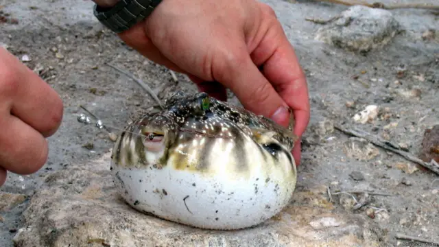 Фото: Александр Вольтер