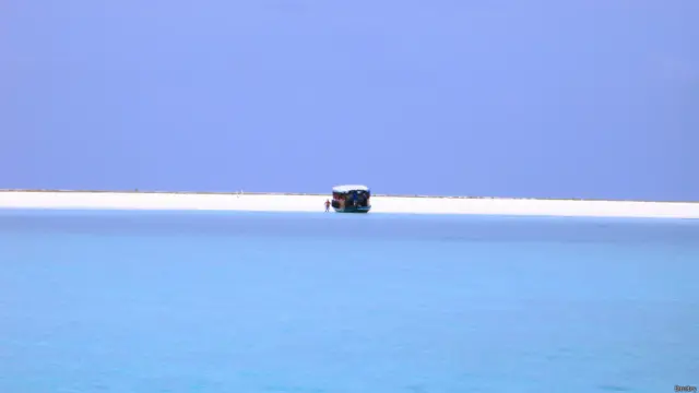 Фото: Дмитрий