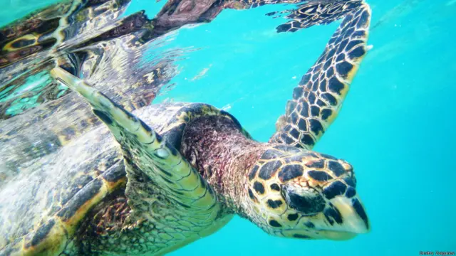 Фото: Дмитрий Загайнов