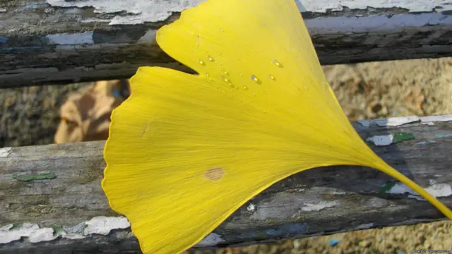 Фото: Ксения Сергеевна