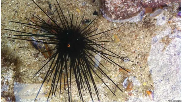 Фото: Ловягина Мария