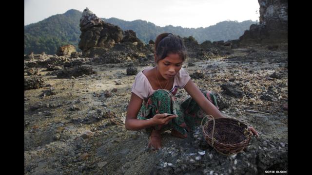 Женщина из племени мокенов собирает моллюсков