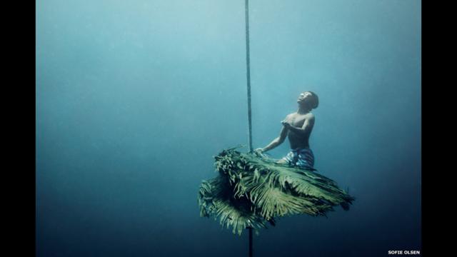 Мокен сидит на пальмовых листьях подводной приманки