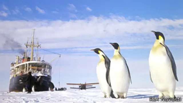 تحقیقات تازه نشان می دهد گرمایش زمین مستقیما باعث نابودی شمار قابل توجهی از جوجه پنگوئن ها در قطب جنوب است