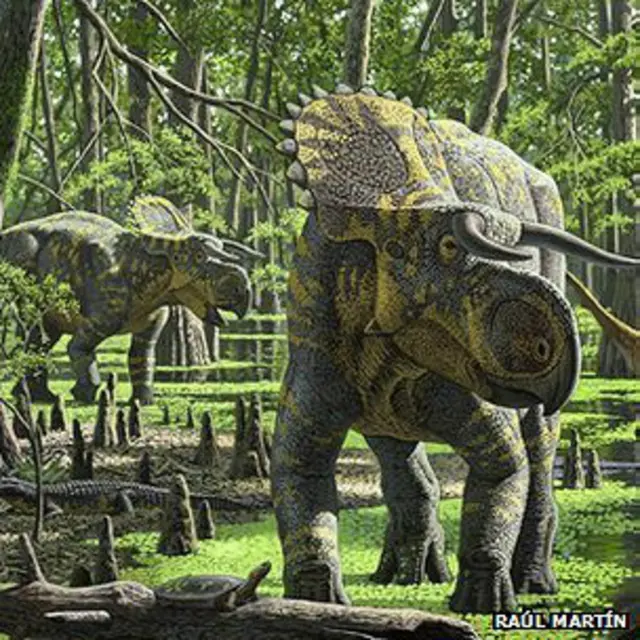 Nasutoceratops memiliki tanduk panjang dan hidung besar.