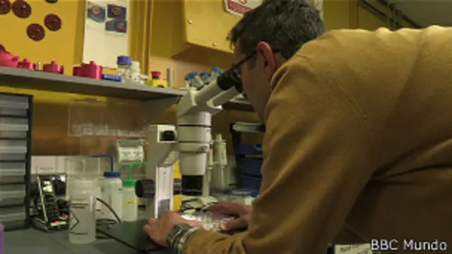 Jose Brandao-Neto, coordinador de una de las líneas de luz de Rayos X