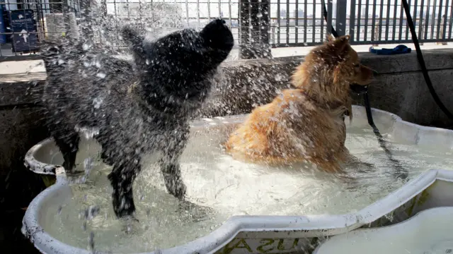 गर्मी, लू से राहत