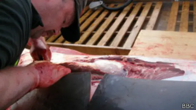 Ballenero corta una ballena