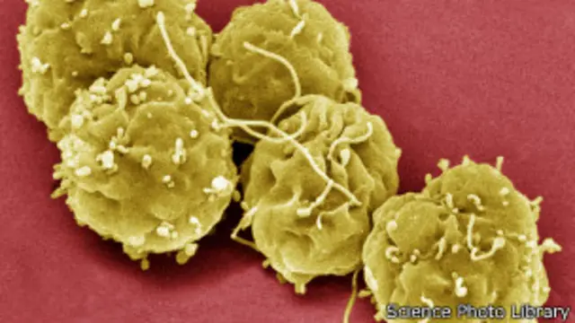 توجد تجارب لاستخدام خلايا جذعية مأخوذة من أجنة.