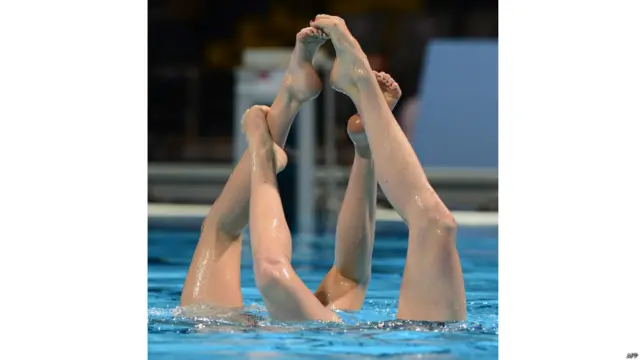 फ़ीना विश्व एक्वेटिक चैंपियनशिप 