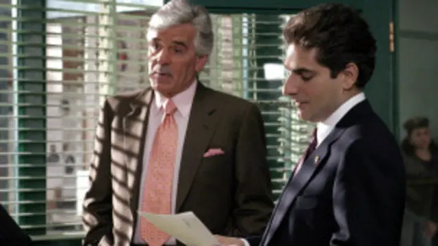 مثل فارينا دور المحقق جو فونتانا في مسلسل "القانون والنظام" لسنوات.