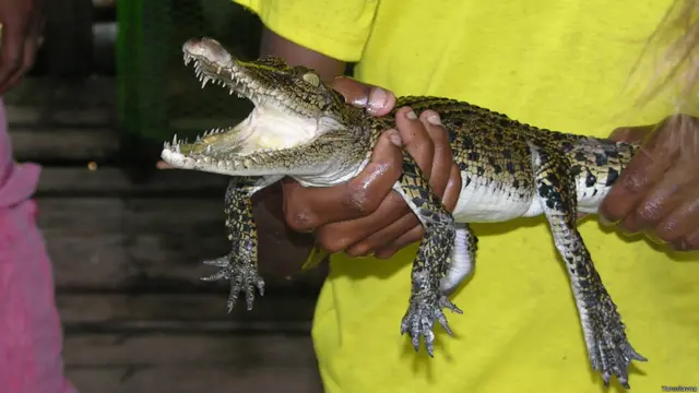 Фото: Ярославна