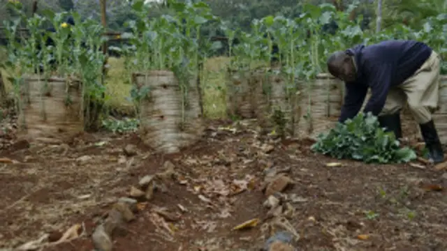 أراضي إفريقيا