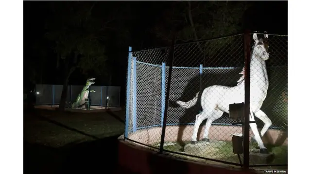 बेजान चिड़ियाघर