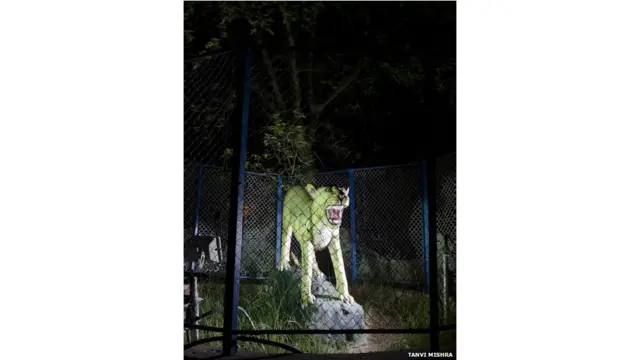 बेजान चिड़ियाघर