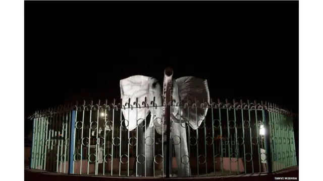 बेजान चिड़ियाघर