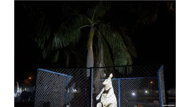 बेजान चिड़ियाघर