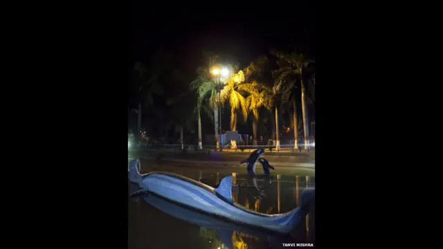 kebun binatang palsu India