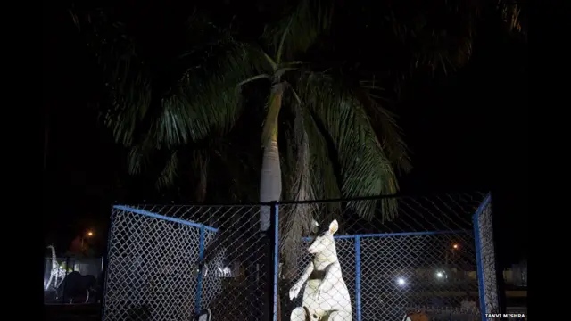 Kebun binatang buatan India