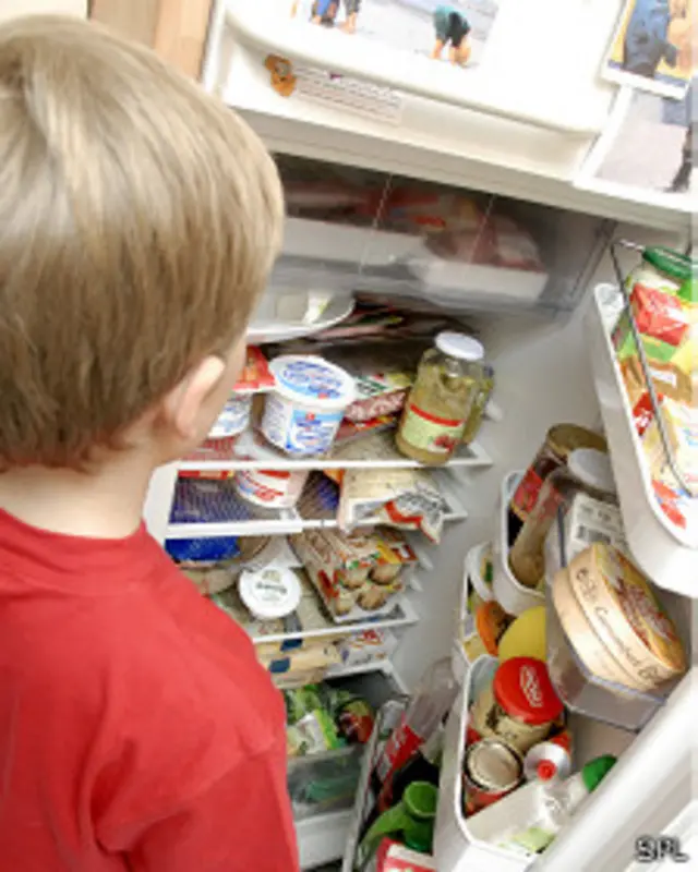Niño abriendo la nevera
