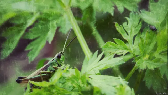 Фото: Владислав Мотин, Санкт-Петербург.