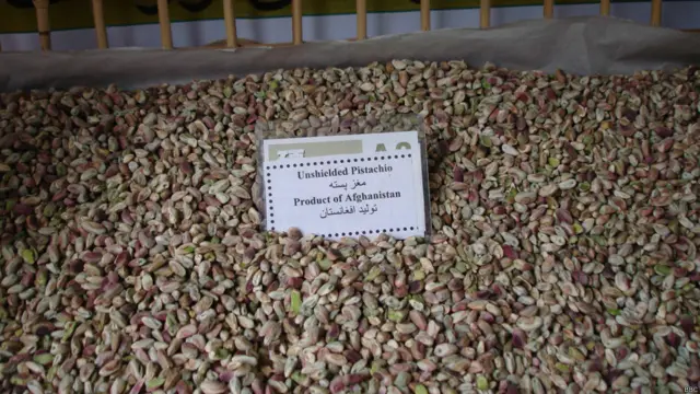 درختان پسته در افغانستان به صورت وحشی می رویند و تاکنون برای ایجاد باغ های مدرن پسته در این کشور سرمایه گذاری لازم نشده است.