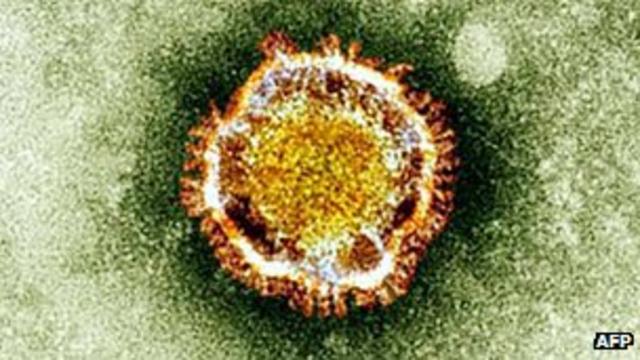 شخص الفيروس لأول مرة في المملكة العربية السعودية قبل عامين