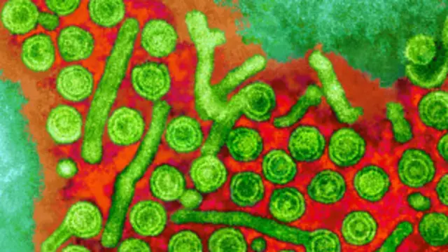 از هپاتیت 'بی' و 'سی' در افغانستان به عنوان زردی سیاه یاد میشود