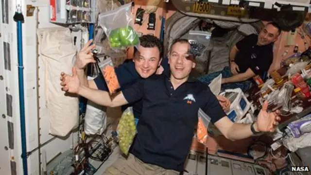 Можливо, в майбутньому космонавти далеких місій харчуватимуться продуктами з біопринтера