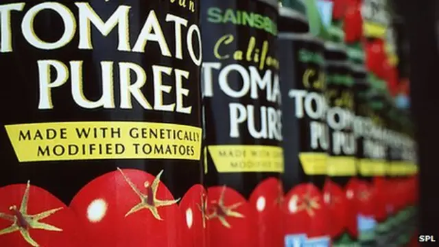 Американські компанії вирощують продукти із ГМО вже багато років