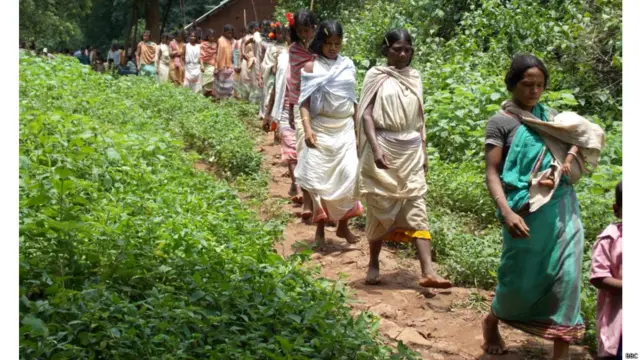 दूसरी आदिवासी जातियों की तरह डोंगरिया कोंध भी क़तार बनाकर चलते हैं. ग्राम सभाओं की बैठकों में औरतें भी बढ़-चढ़कर हिस्सा लेती हैं.