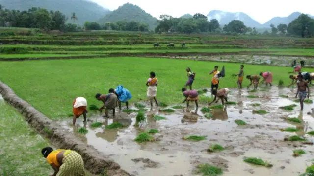 दक्षिण ओडिशा का यह इलाक़ा बहुत सुंदर है. गैर आदिवासियों का भी कहना है कि अगर नियमगिरी पर्वत श्रृंखला को नुक़सान पहुंचता है तो इलाक़े में सूखा पड़ जाएगा, क्योंकि दो प्रमुख नदियों और कई झरनों का स्रोत यही पर्वत है.