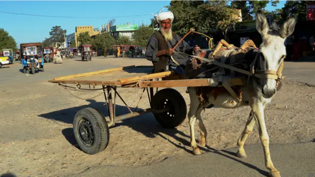 در شهر شبرغان برای بارکشی بیشتر از گاری‌های قدیمی استفاده می‌شود.